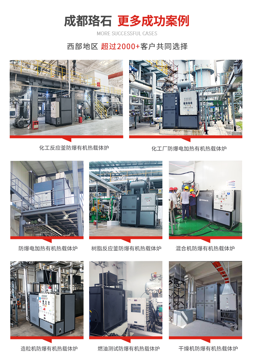 電熱有機(jī)熱載體爐案例